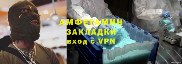 прущие грибы Пересвет