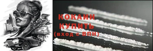 МДПВ Пестово