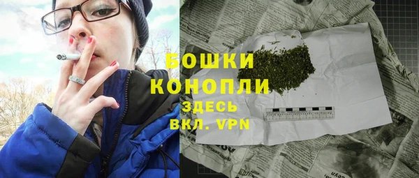 прущие грибы Пересвет