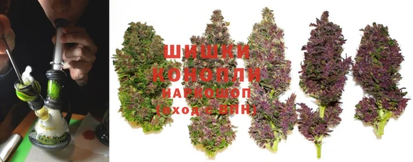МДПВ Пестово