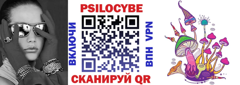 закладки  Сураж  гидра онион  Псилоцибиновые грибы Psilocybe 