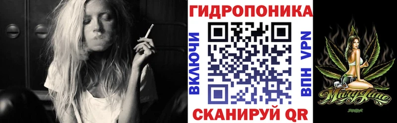 где купить   Сураж  Конопля планчик 